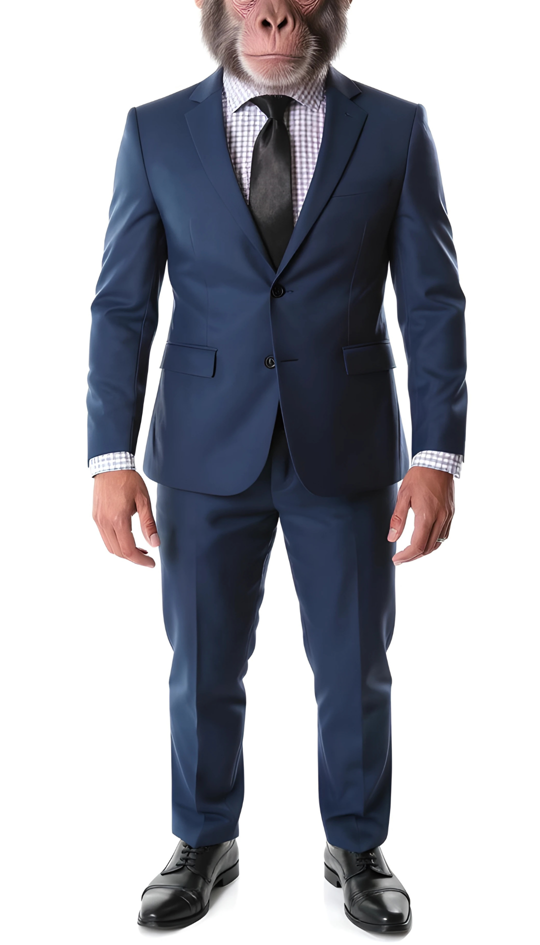 The Chimp Classic Navy Slim Fit Notch Lapel 2 Piece Suit