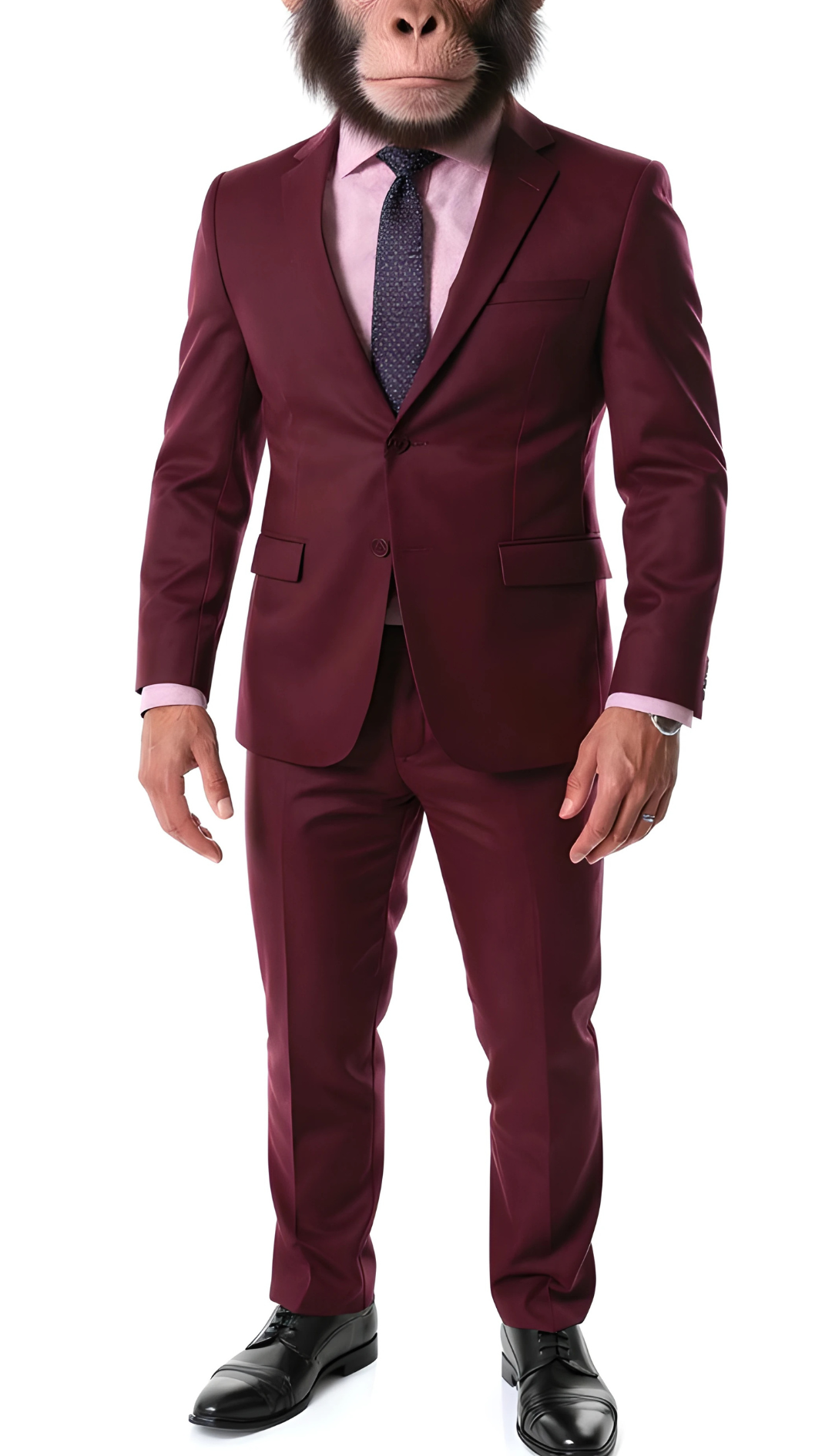 The Chimp Classic Burgundy Slim Fit Notch Lapel 2 Piece Suit