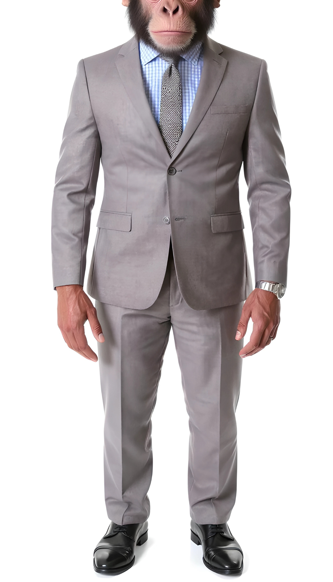 The Chimp Classic Grey Slim Fit Notch Lapel 2 Piece Suit