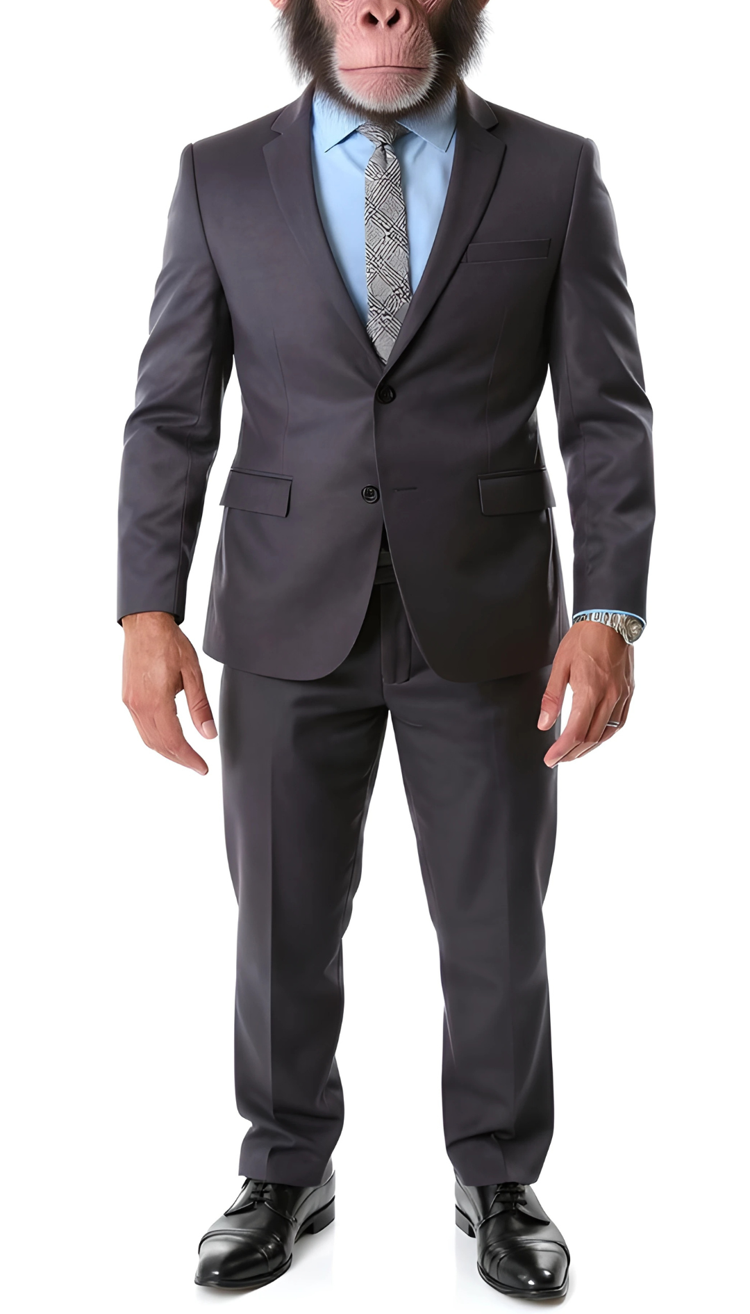 The Chimp Classic Charcoal Slim Fit Notch Lapel 2 Piece Suit
